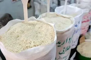 آخرین قیمت برنج ایرانی امروز سه شنبه ۲۱ بهمن | برنج درجه یک ایرانی کیلویی چند؟