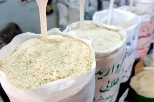 آخرین قیمت برنج ایرانی امروز سه شنبه ۲۱ بهمن | برنج درجه یک ایرانی کیلویی چند؟