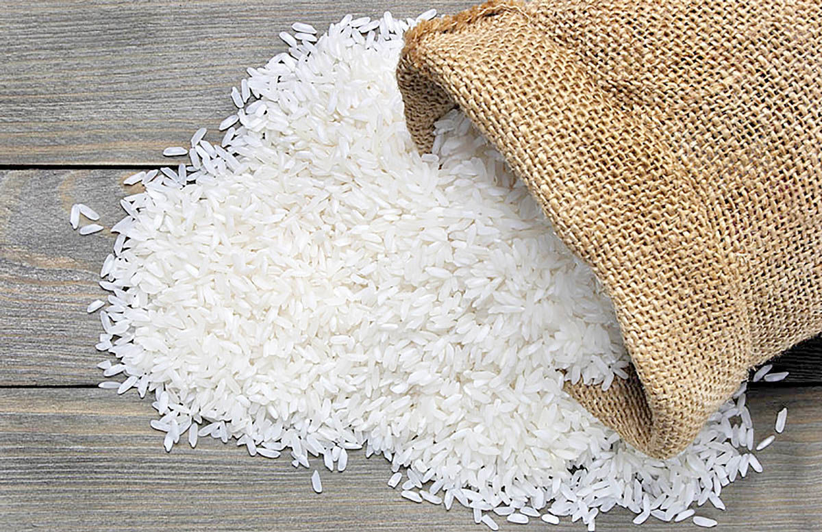 قیمت برنج در سراشیبی سقوط؟/ ارزانی مهم در راه است!