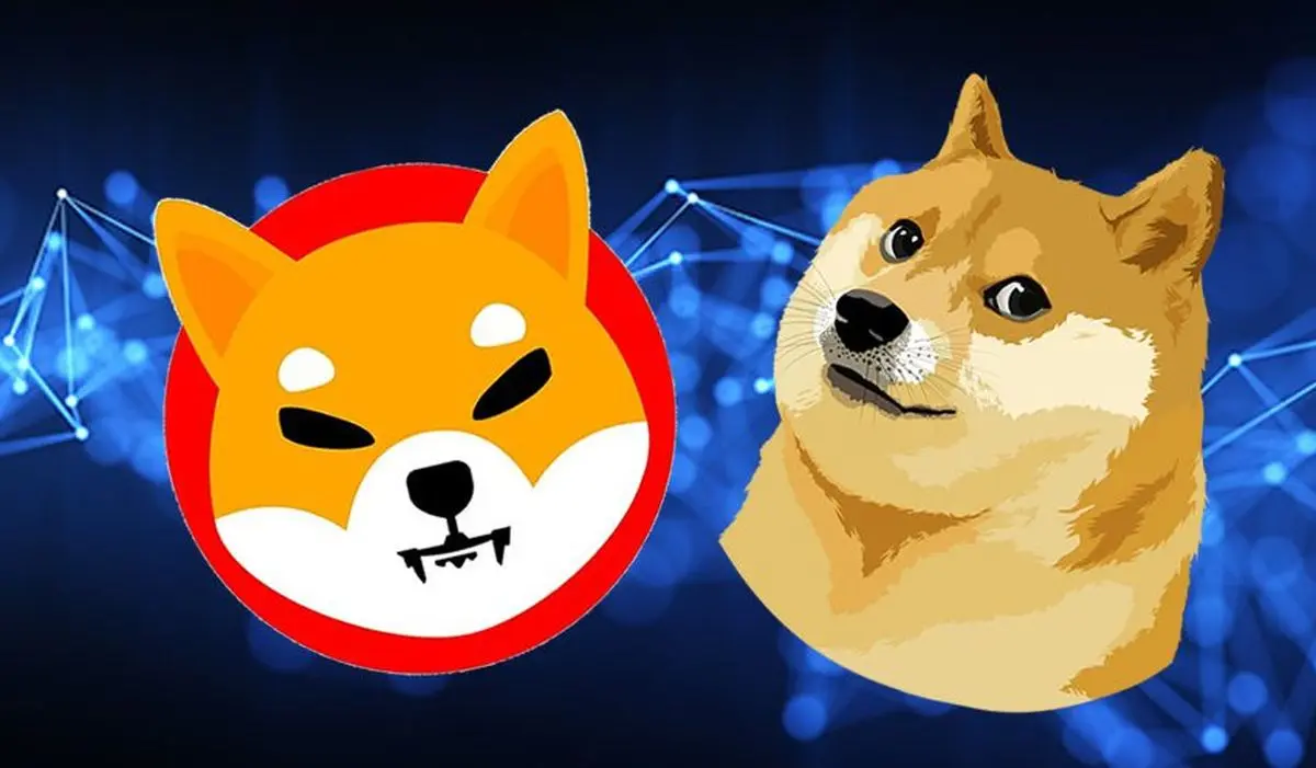 آینده سرمایه گذاری در ارز دیجیتال bora