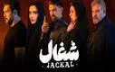 دانلود آخرین قسمت سریال «شغال» | چرا باید سریال شغال را ببینیم ؟
