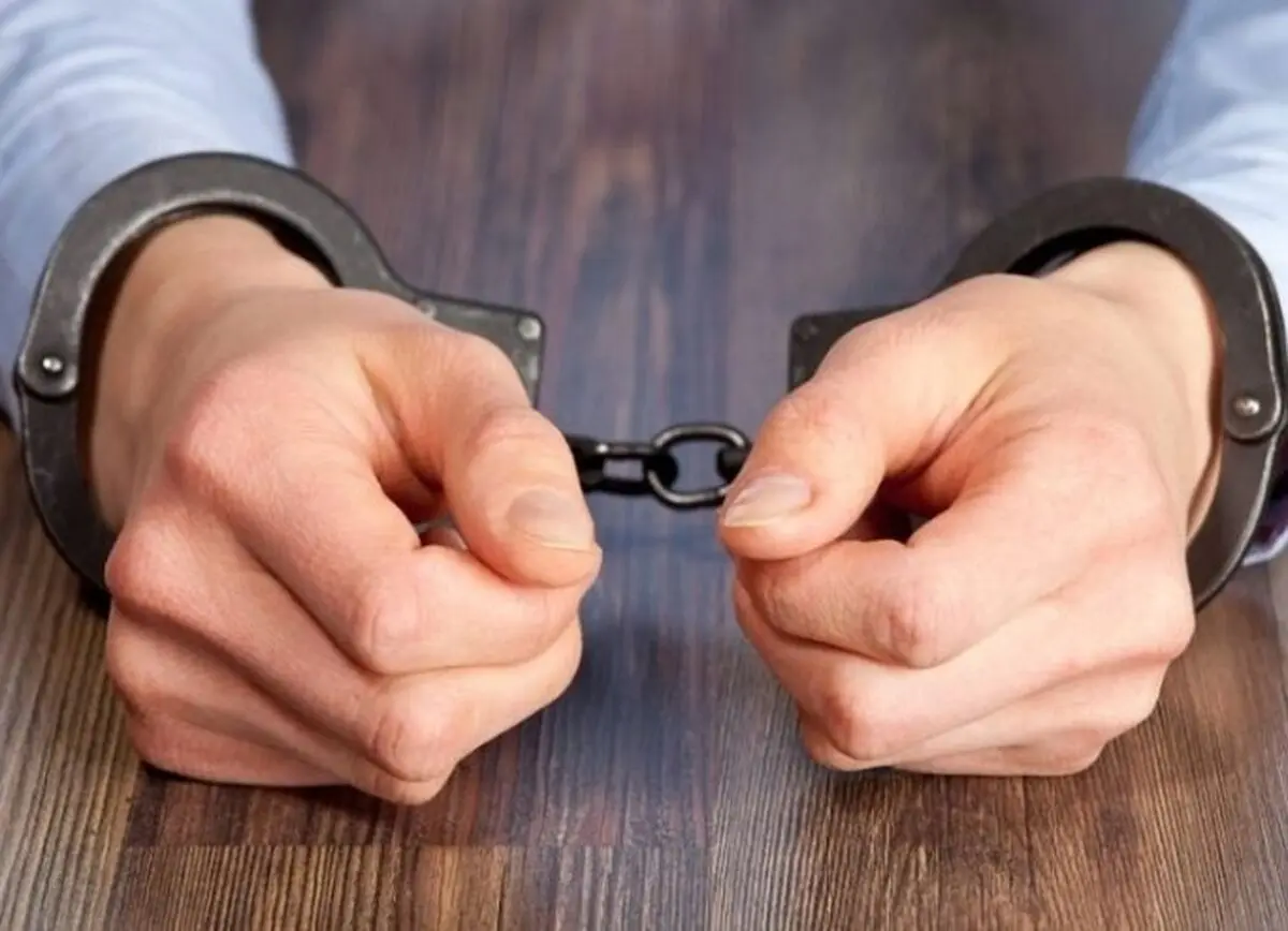 استرداد متهم میلیاردی به کشور