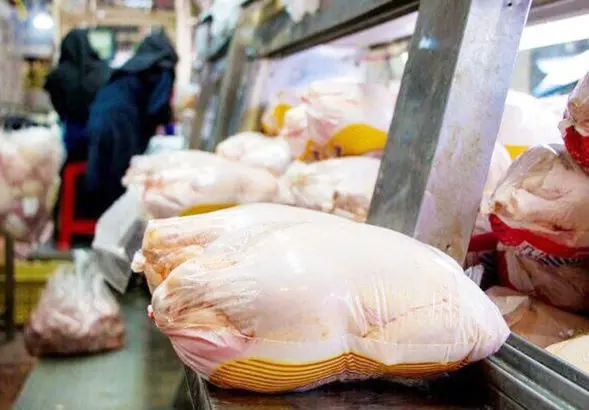 قیمت مرغ برای مصرف‌کننده اعلام شد | قیمت مرغ بعد از حدف ارز ترجیحی