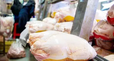قیمت جدید مرغ امروز شنبه ۱۸ بهمن | فیله مرغ کیلویی چند شد ؟