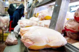 قیمت مرغ برای مصرف‌کننده اعلام شد | قیمت مرغ بعد از حذف ارز ترجیحی