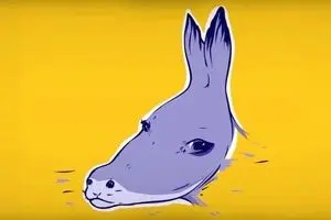 تست تصویری عجیب: فوک دیدی یا الاغ ؟ شخصیت واقعیات لو رفت !