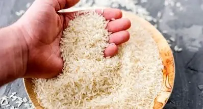 قیمت‌ جدید برنج ایرانی و خارجی امروز 13 آذر | کیسه برنج 10 کیلویی چند شد ؟