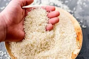 قیمت‌ جدید برنج ایرانی و خارجی امروز 13 آذر | کیسه برنج 10 کیلویی چند شد ؟