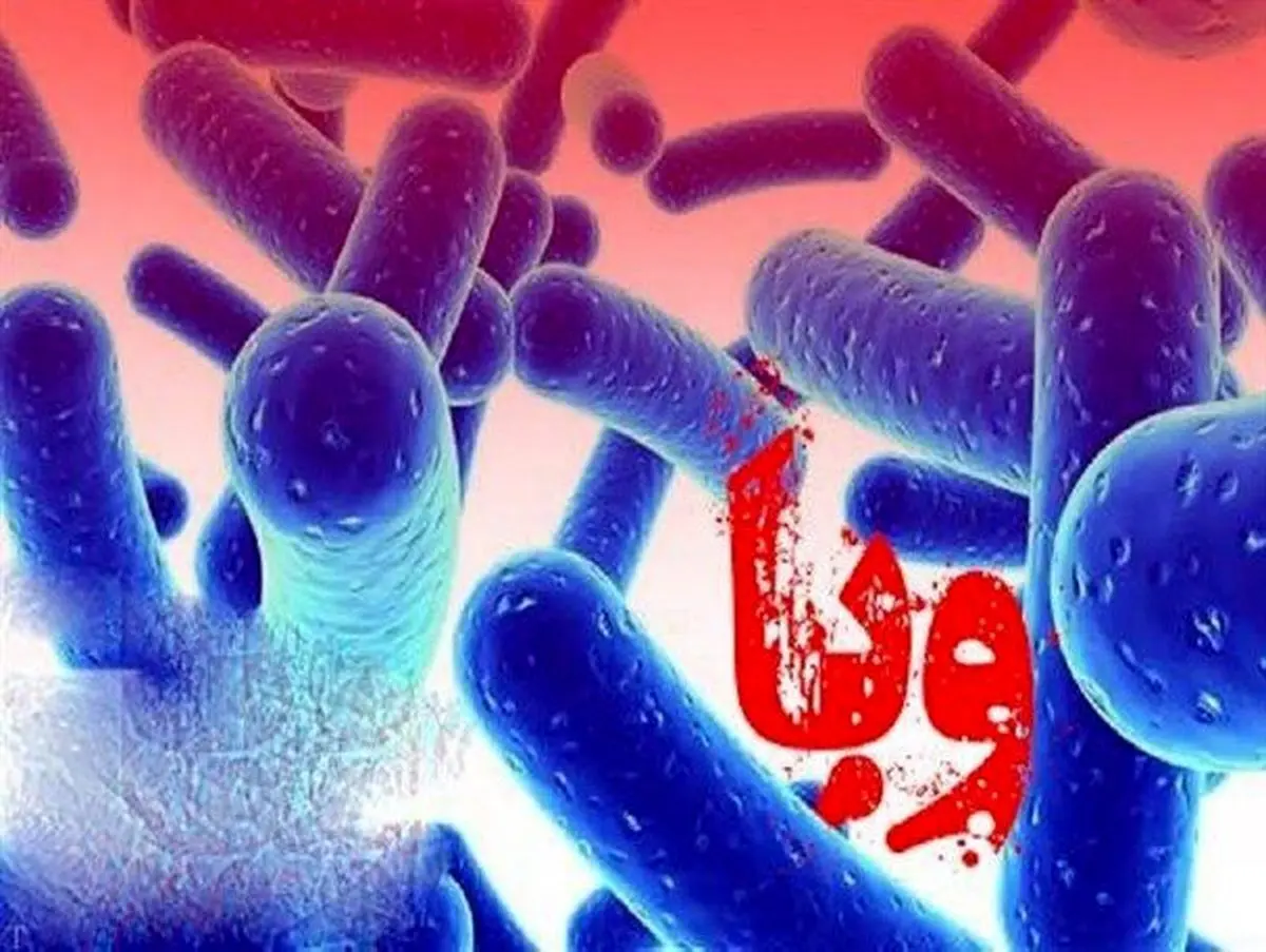 ابتلا به وبا روبه افزایش است | جدیدترین آمار از مبتلایان به وبا