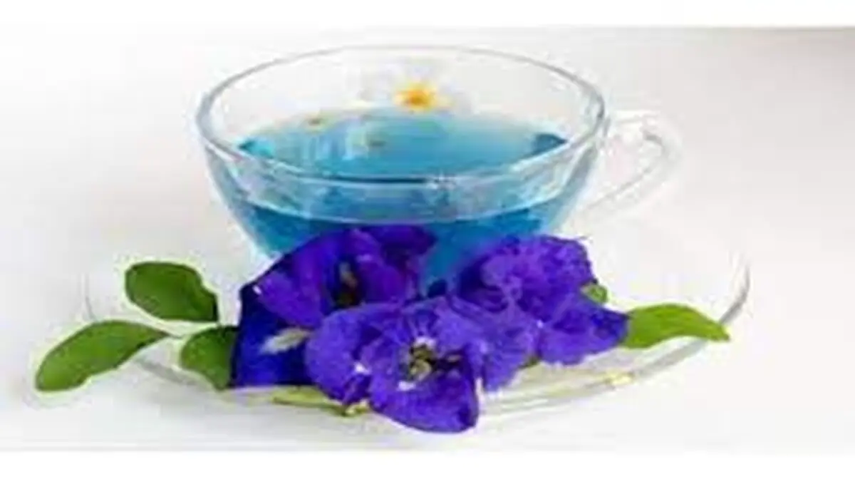 با گل گاو زبان این بیماری ها را از خود دور کنید