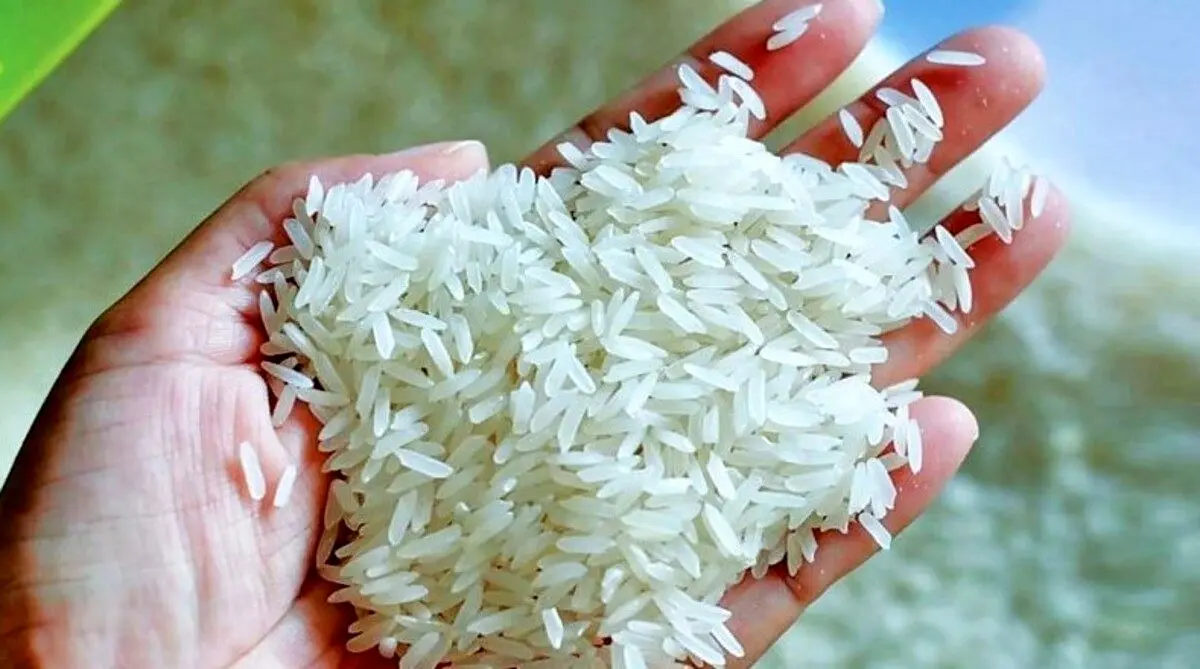 قیمت برنج پاکستانی سر به فلک کشید | کیسه 10 کیلویی برنج پاکستانی 24 آذر چند شد ؟ 