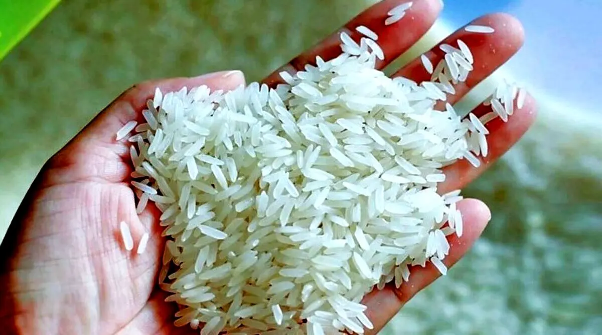 کاهش قیمت برنج هندی و پاکستانی در آستانه رمضان | قیمت برنج امروز چهارشنبه 15 بهمن + جدول