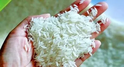 قیمت جدید برنج هندی در بازار | کیسه 10 کیلویی برنج هندی خاطره چند ؟