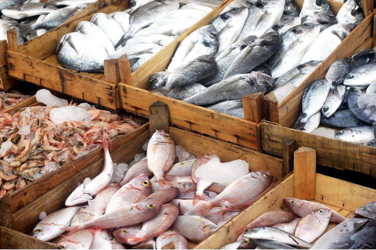 قیمت ماهی و میگو در میادین 29 آبان