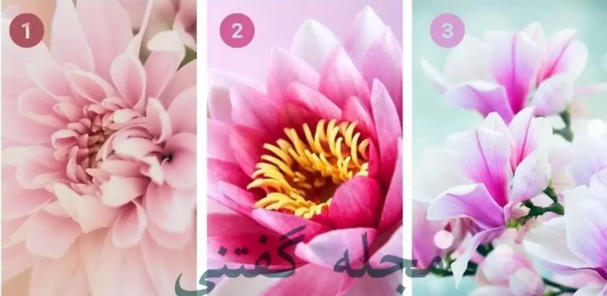 یک گل انتخاب کن تا بهت بگم چقدر خودجوشی | تست شخصیت