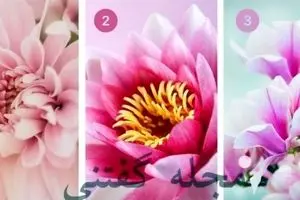 یک گل انتخاب کن تا بهت بگم چقدر خودجوشی | تست شخصیت