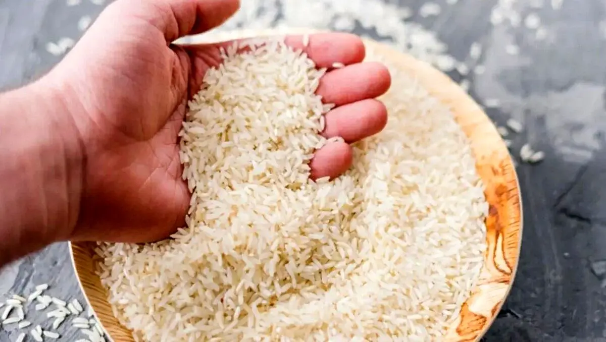 برنج هندی و پاکستانی کمیاب شد ! | جزئیات پشت‌پرده کمبود برنج