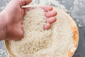 برنج هندی و پاکستانی کمیاب شد ! | جزئیات پشت‌پرده کمبود برنج