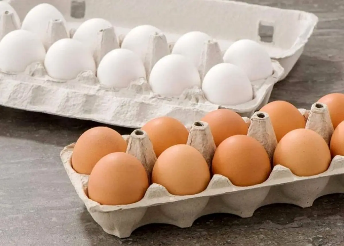 جهش شوک کننده قیمت تخم‌مرغ | تخم‌مرغ شانه ای ۳۰۰ هزار تومان شد