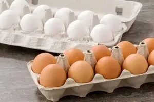 جهش شوک کننده قیمت تخم‌مرغ | تخم‌مرغ شانه ای ۳۰۰ هزار تومان شد