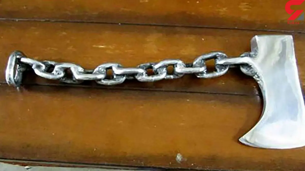 سارقان «تبر به دست» تحت تعقیب نیروی انتظامی