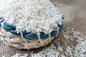 افزایش 3 برابری قیمت برنج پاکستانی | قیمت برنج در بازار شوکهکننده شد