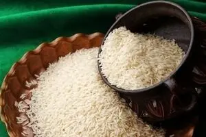 قیمت برنج ایرانی امروز ۱۹ بهمن در بازار | برنج نیم دانه کیلویی چند شد ؟