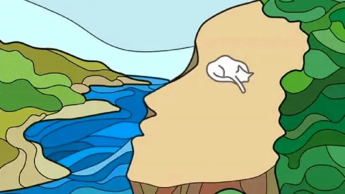 تست شخصیت شناسی : صخره، گربه یا صورت؟ شخصیت شما چه چیزی می‌گوید؟