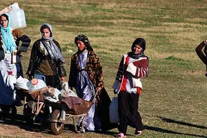 طرح فوری برای حذف واسطه‌ها: آیا مسیر تجارت الکترونیک روستا باز می‌شود؟