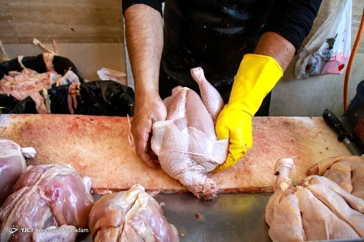 قیمت مرغ در بازار تهران عجیب شد