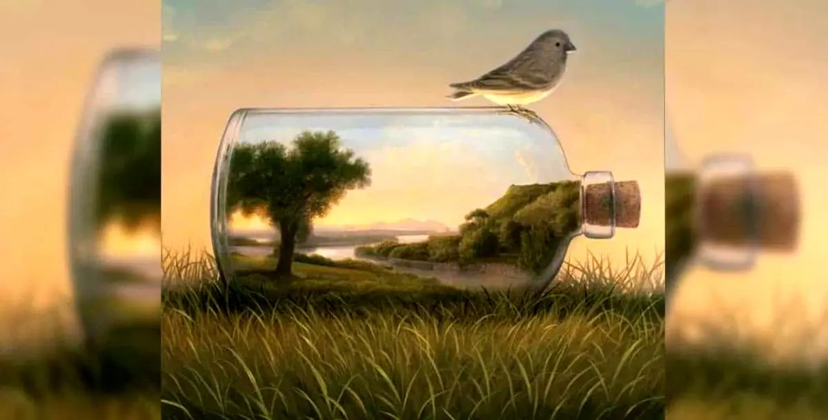 تست شخصیت | آیا شما زود فریب می خورید یا خیر؟