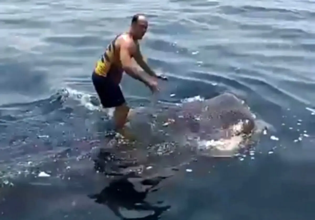 ویدئو نهنگ سواری بچه های آبادان در خلیج فارس ترکوند ! + فیلم