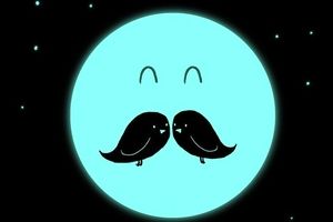 تست شخصیت شناسی : چهره یا دو پرنده ؟ ویژگیهای پنهان شخصیت تو چیست ؟