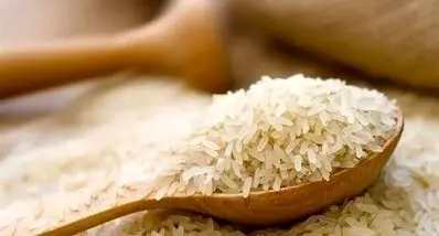 آغاز توزیع برنج پاکستانی با قیمت ۴۶ هزار تومان | فروش محدود و فرصت طلایی !