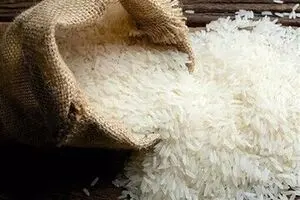 افزایش سرسام آور قیمت برنج ایرانی