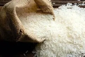افزایش سرسام آور قیمت برنج ایرانی