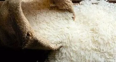 افزایش سرسام آور قیمت برنج ایرانی