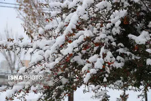 هشدار آب و هوایی به مسافران آخرهفته گیلان | گرفتار کولاک و یخبندان نشوید!