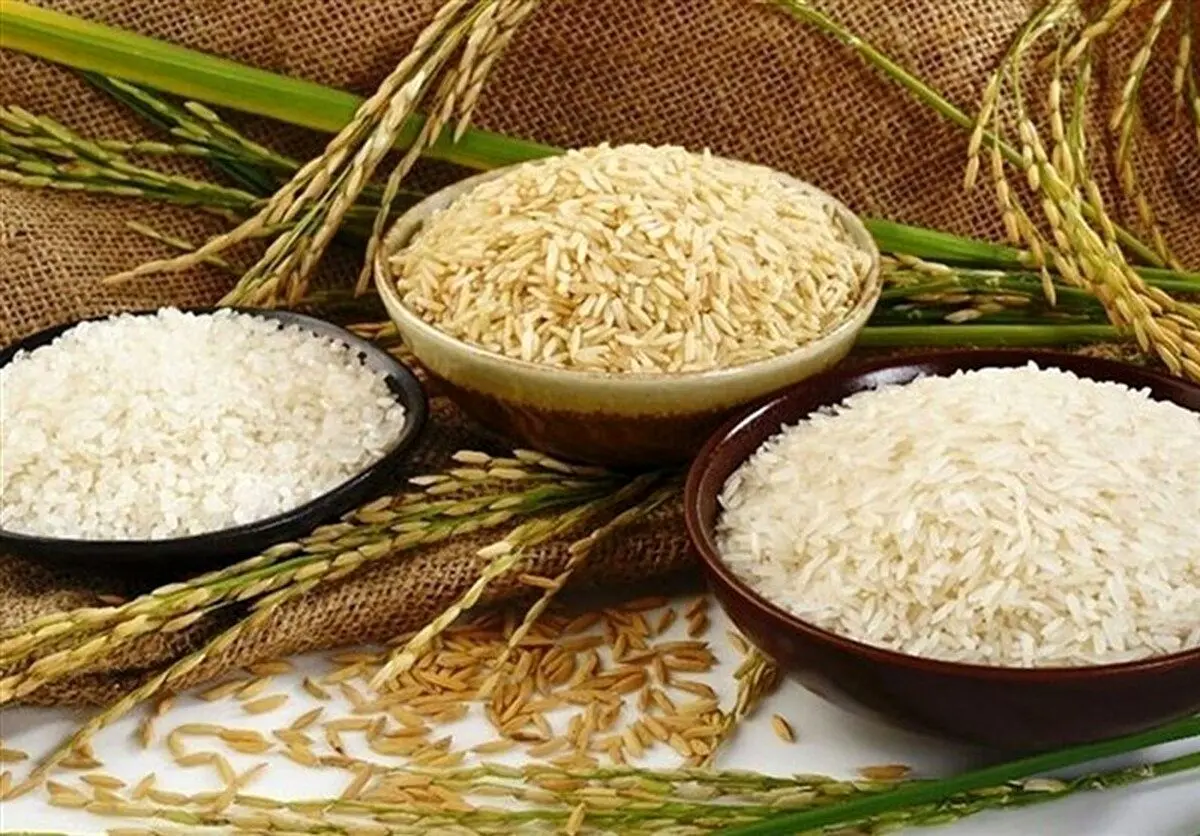 قیمت روز برنج پاکستانی در بازار | ارزان‌ترین و گران‌ترین + جدول
