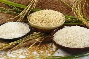 قیمت برنج پاکستانی امروز ۲۲ بهمن | برنج پاکستانی در آستانه رمضان چقدر گران شد ؟ + جدول