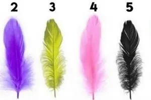 تست شخصیت شناسی | بگو کدام پر را دوست داری تا بگویم کیستی !