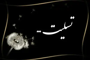 هادی مرزبان درگذشت / بیوگرافی هادی مرزبان بازیگر معروف