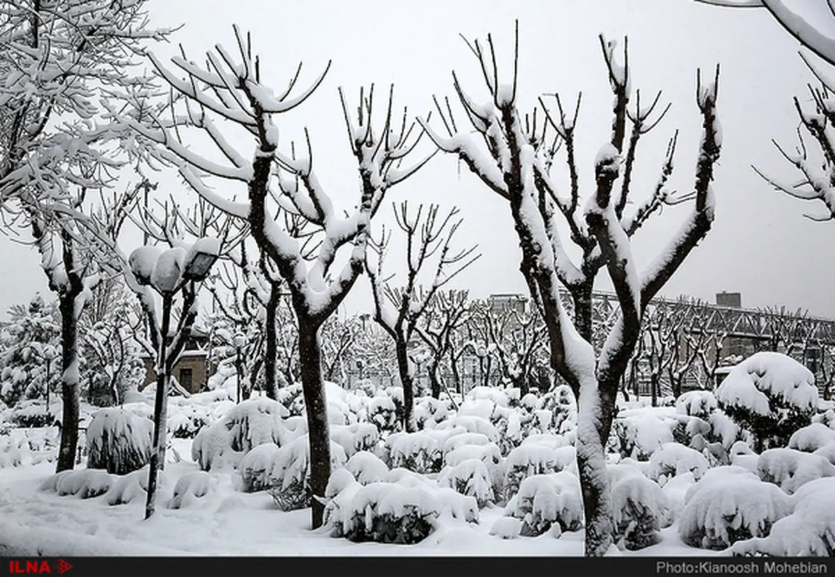 پیش بینی هوای برفی و بارانی به مدت 5 روز 