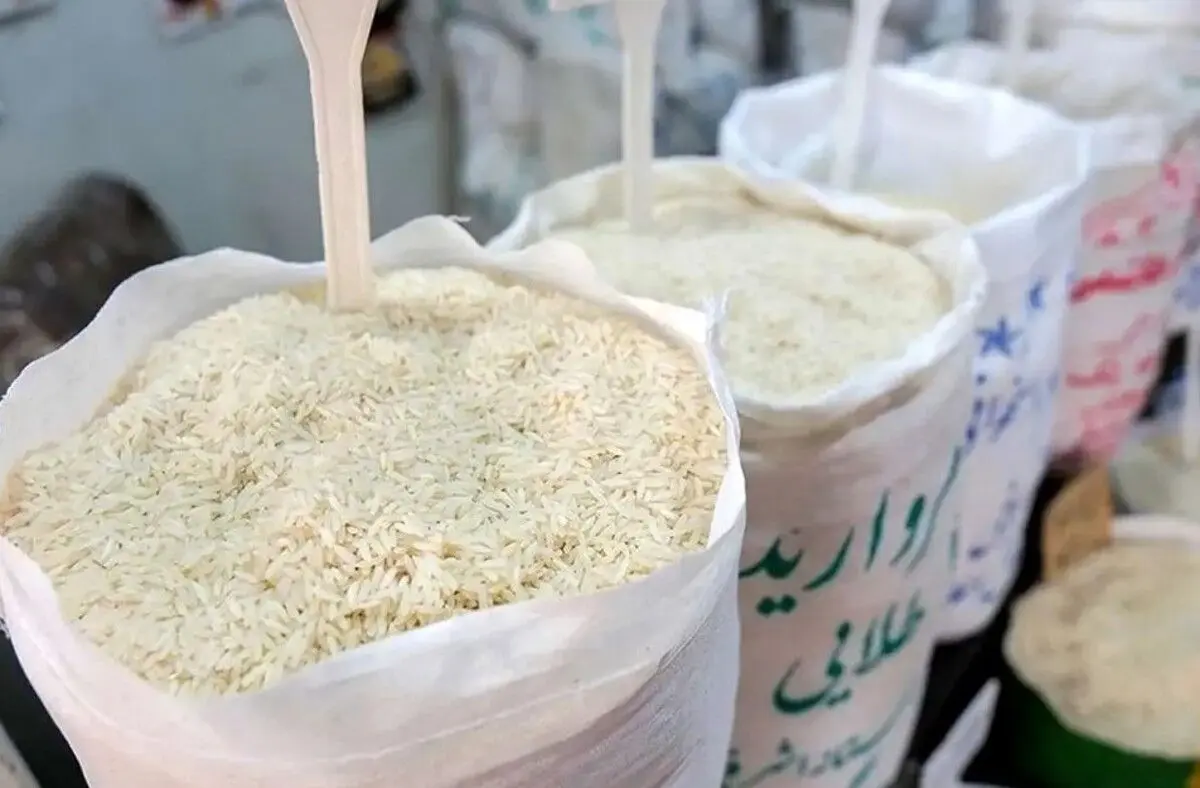قیمت برنج بالاخره عقب نشست | برنج هندی چقدر ارزان شد ؟