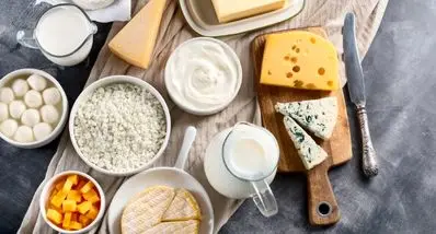 لبنیات کالابرگ وارد بازار شد | برنامه تخفیفی ویژه دولت در آستانه رمضان