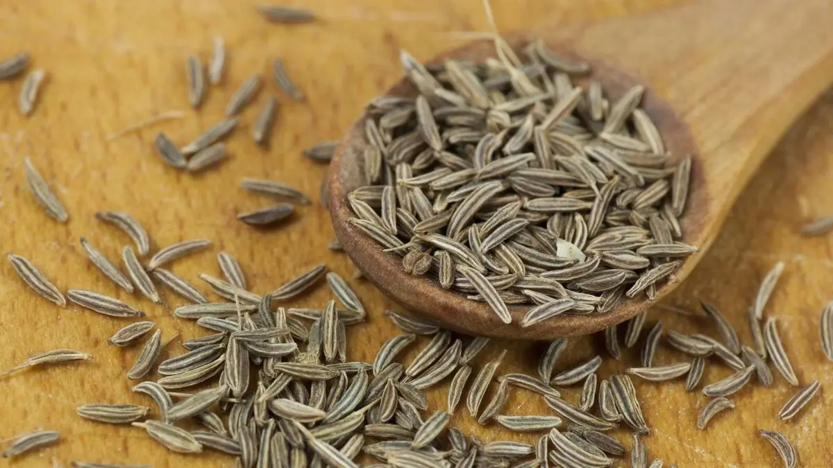 خواص درمانی بی نظیر زیره سیاه