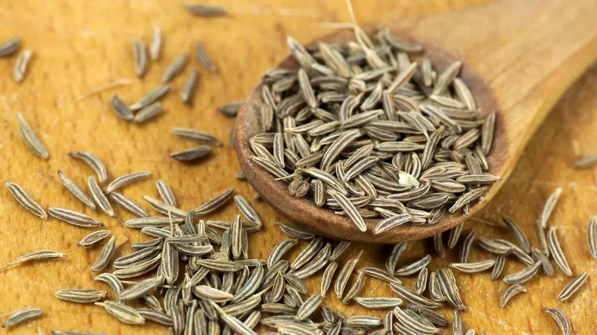 خواص درمانی بی نظیر زیره سیاه