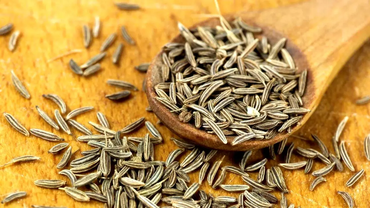 خواص درمانی بی نظیر زیره سیاه
