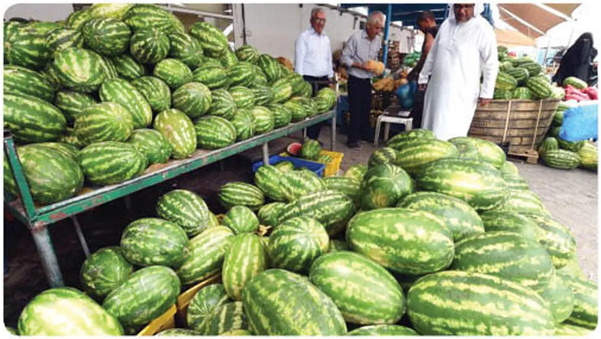ماجرای گرانی عجیب هندوانه در ایران