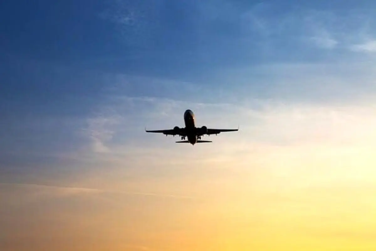 اخراج دو مسافر از هواپیما بخاطر زل زدن به مهماندار!